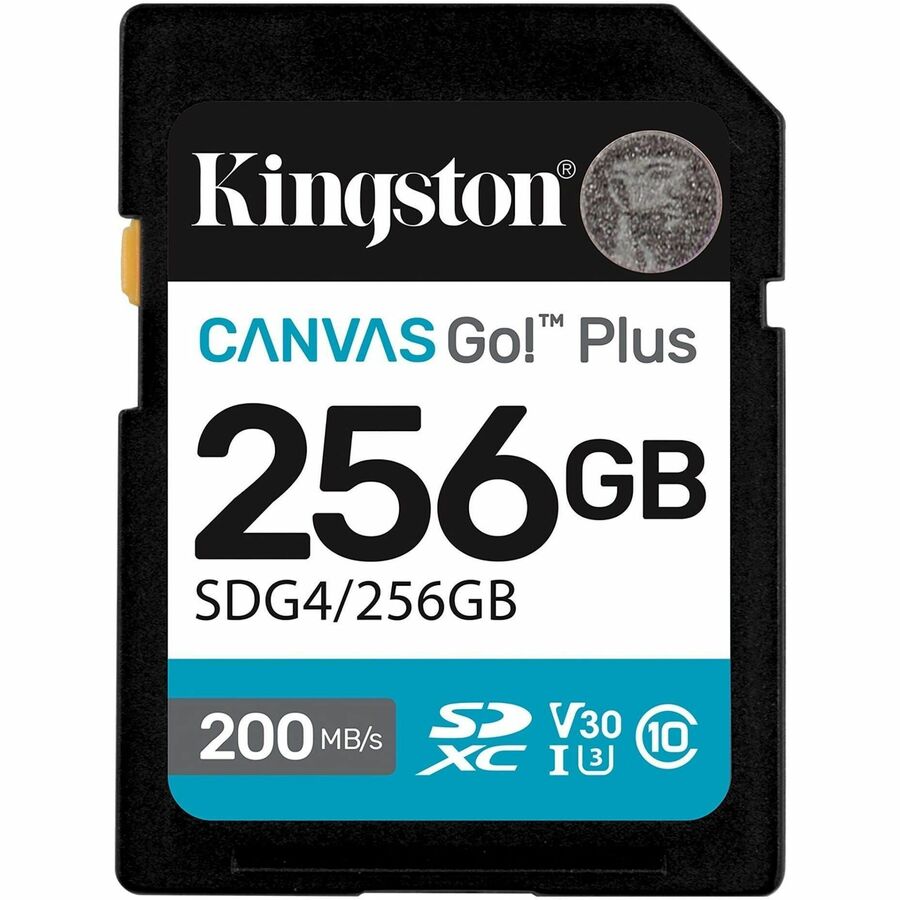 Go Plus G4 256GB SDXC