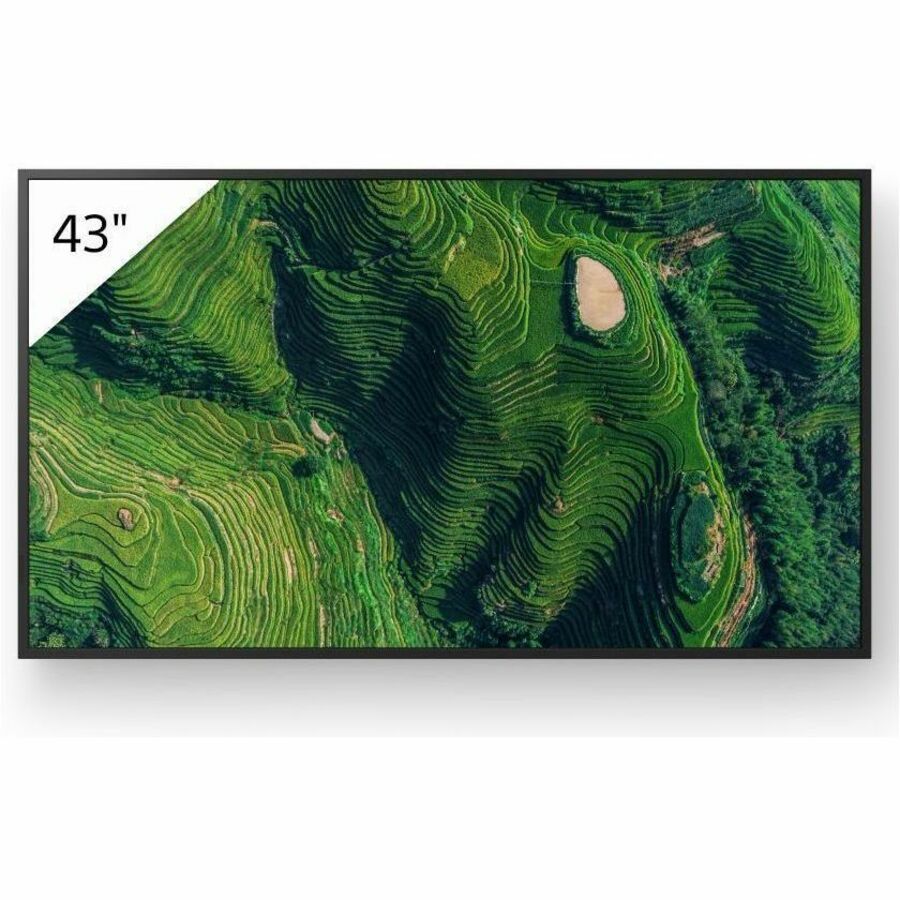 43IN BRAVIA W/ IP5X, 3-YR, & DBNG STD