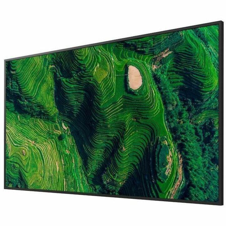 65IN BRAVIA W/ IP5X, 3-YR, & DBNG STD