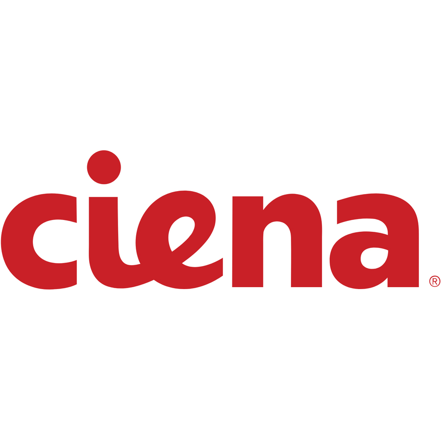 CIENA CORE NETWORKING GROUP