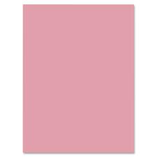 Nature Saver 100% Recycled Construction Paper - Art, Craft, ClassRoom Project - 9" (228.60 mm)Width x 12" (304.80 mm)Length - 50 / Pack - Pink