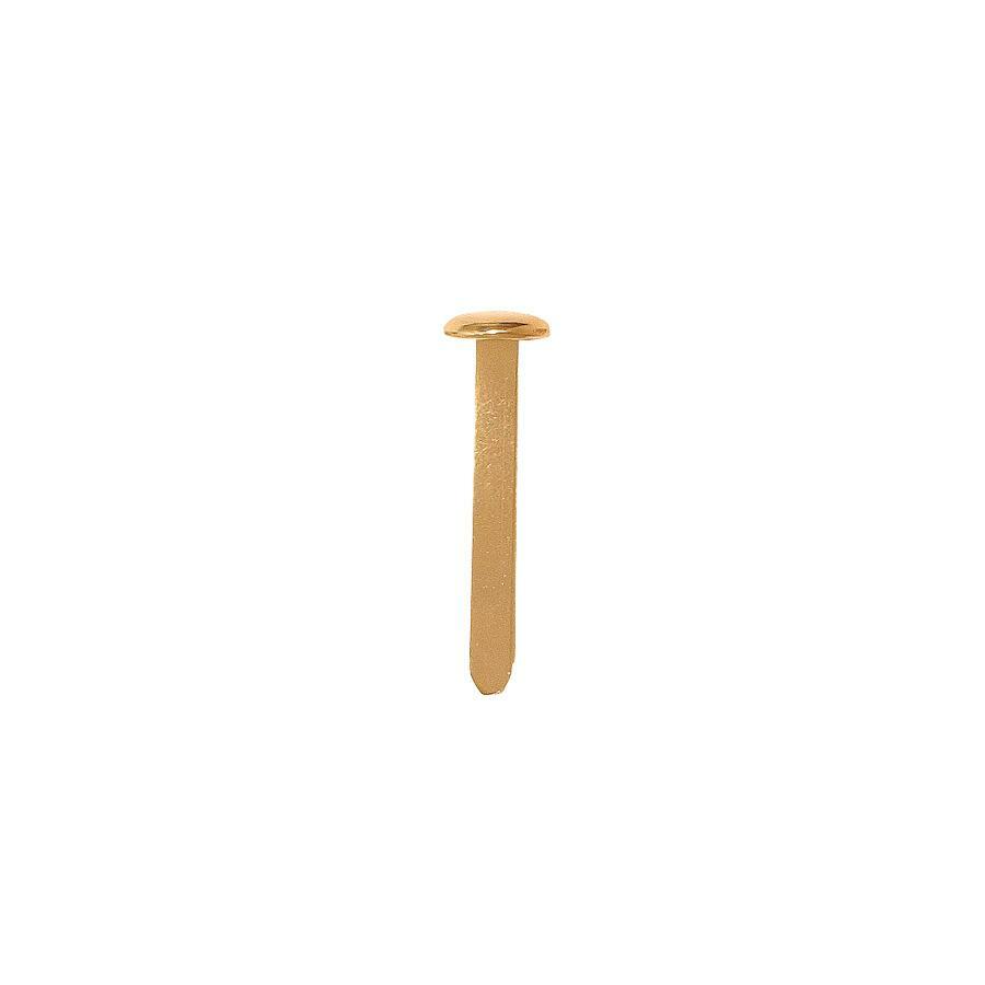 Acme United Brass Round Head Fastener - 2" (50.80 mm) Size Capacity - Brass - 100 / Box