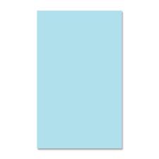 EarthChoice Colors Multipurpose Paper - Blue - Legal - 8 1/2" x 14" - 20 lb Basis Weight - Smooth - 500 / Ream - Acid-free