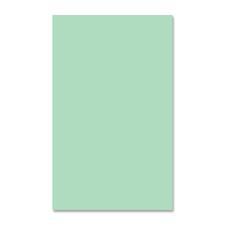 EarthChoice Colors Multipurpose Paper - Green - Legal - 8 1/2" x 14" - 20 lb Basis Weight - Smooth - 500 / Ream - Acid-free