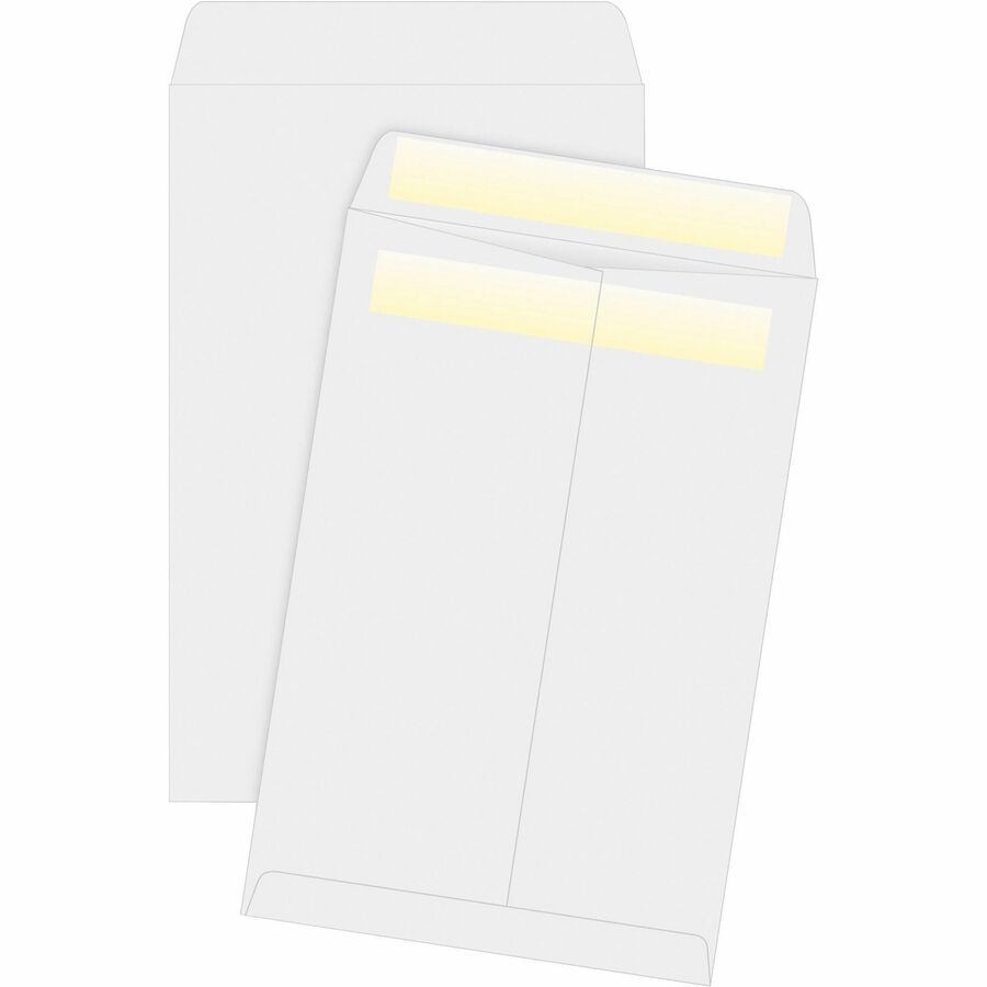 Redi-Seal Catalog Envelope, x 9, White, 100/Box (並行輸入品) 