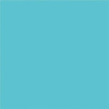 NAPP Construction Paper - Construction - 12" (304.80 mm)Height x 9" (228.60 mm)Width - 48 / Pack - Light Blue