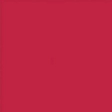 NAPP Construction Paper - Construction - 18" (457.20 mm)Height x 12" (304.80 mm)Width - 48 / Pack - Red