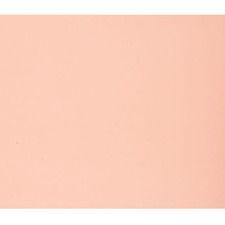 NAPP Colour Cardstock - 22" (558.80 mm)Width x 28" (711.20 mm)Length - 48 / Pack - Pink - Cardboard
