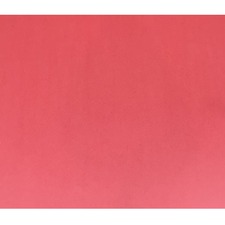 NAPP Colour Cardstock - 22" (558.80 mm)Width x 28" (711.20 mm)Length - 48 / Pack - Red - Cardboard