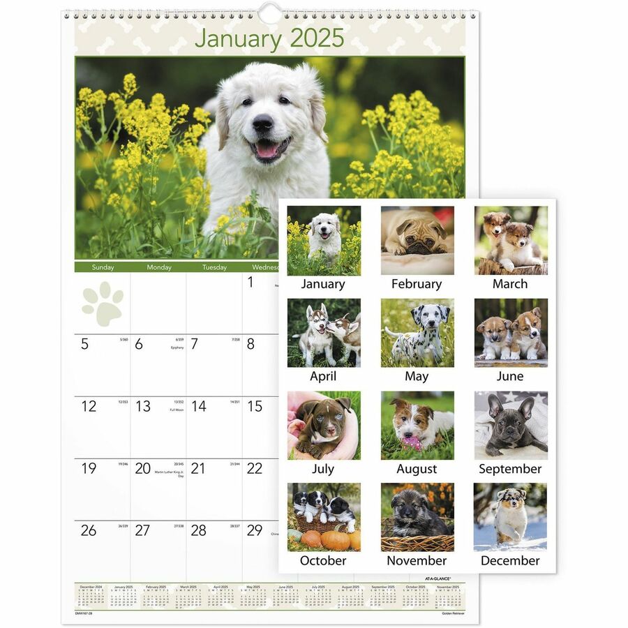 AtAGlance DMW16728, AtAGlance Large Puppies Monthly Wall Calendar