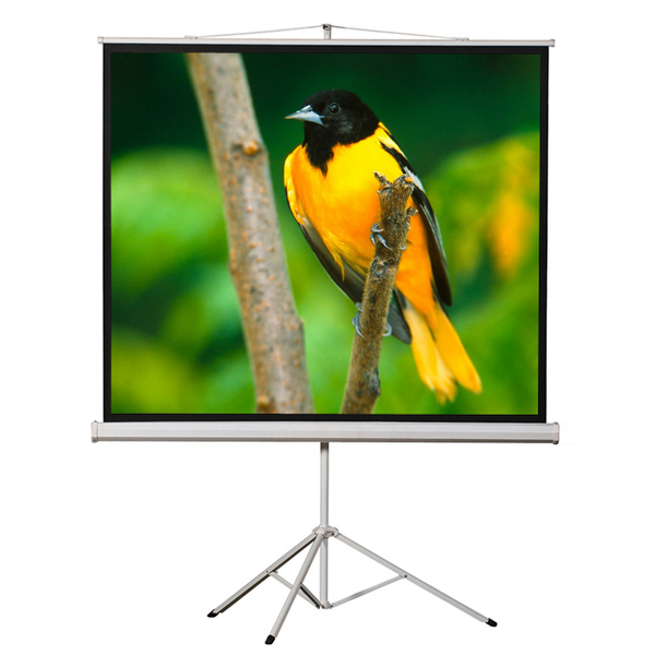 EluneVision Tripod Projection Screen - 100"