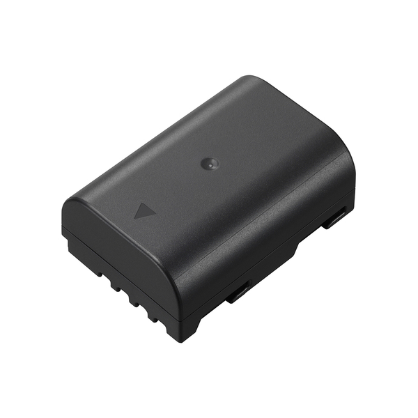 Panasonic DMW-BLF19 - Rechargeable Li-ion battery (7.2 V, 1860 mAh)