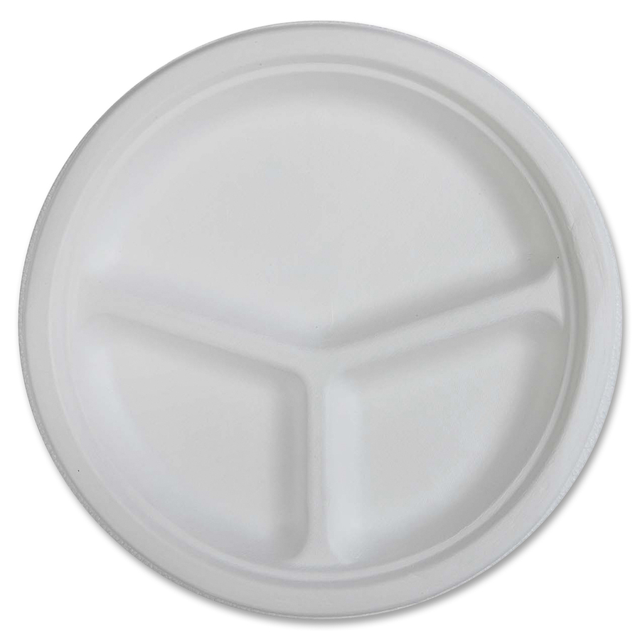 disposable plates bulk