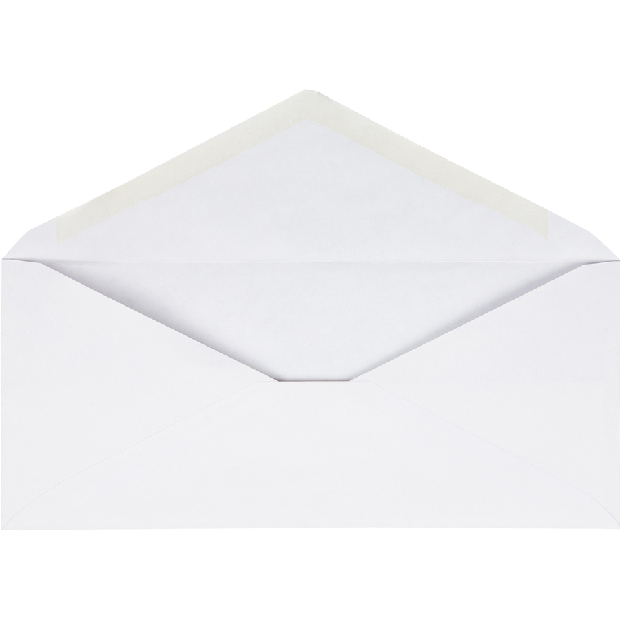 Business Source No. 10 VFlap Envelopes