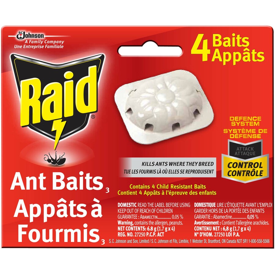 Killing Ants With Bait Traps 