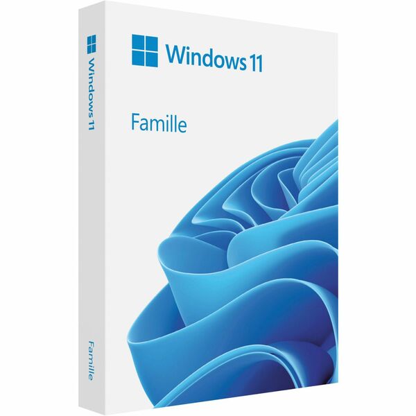 Microsoft Windows 11 Home 64-Bit - FRENCH USB - Retail Pack (HAJ-00110
