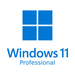 Microsoft Windows 11 Pro 64-Bit - FRENCH USB - Retail Pack (HAV-00156)