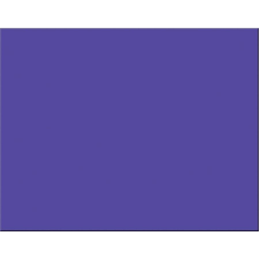 Pacon&reg; 4-Ply Railroad Board