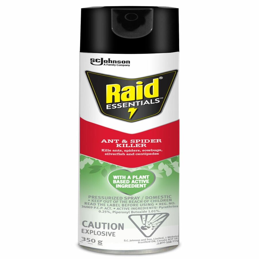 Raid Essentials Insecticide Spray Kills Spider, Sowbug, Carpet