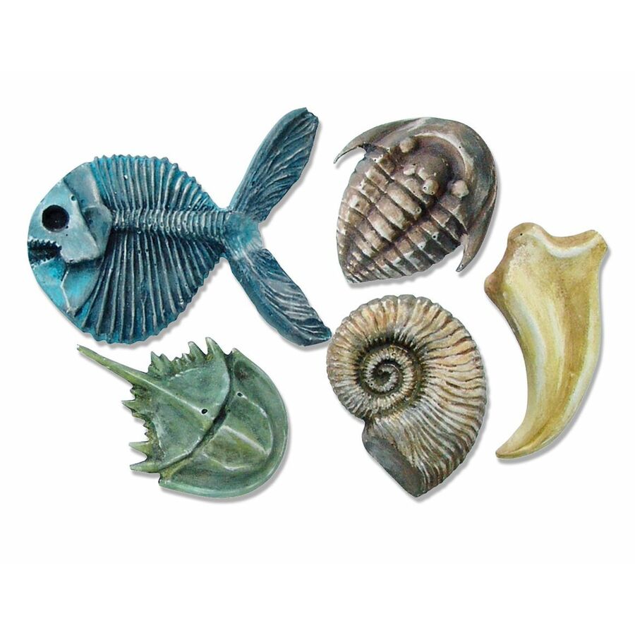 Roylco Fossil Molds