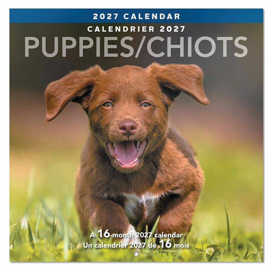 Calendrier mural Mead&reg; 2027 de 16 mois, Chiots