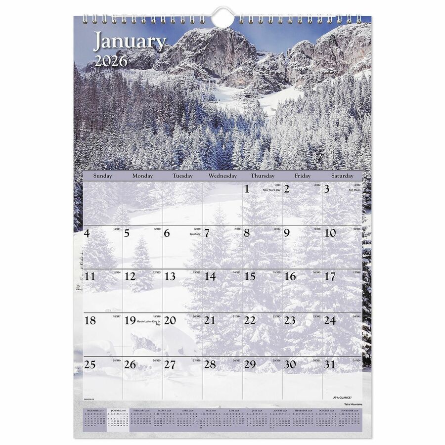 At A Glance DMW20028 Visual Organizer Scenic Monthly Wall Calendar Fast Shipping Office