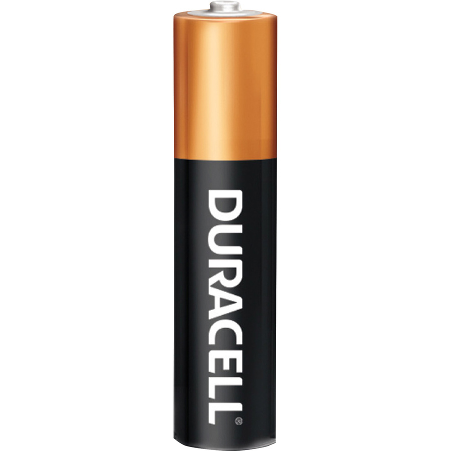 Duracell Coppertop Duralock AA 1.5V Alkaline Batteries - 2 Pack