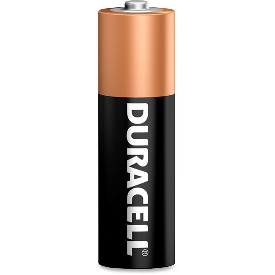 best aa batteries for handheld gps