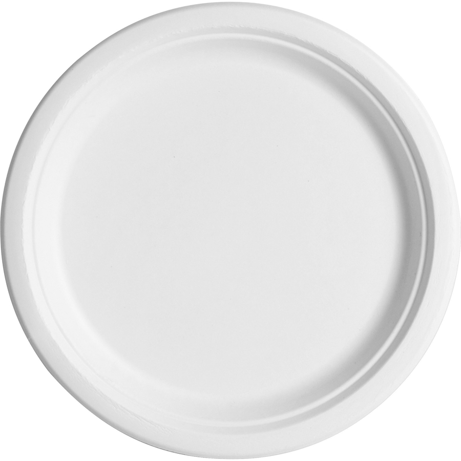 ECOEPP005CT
