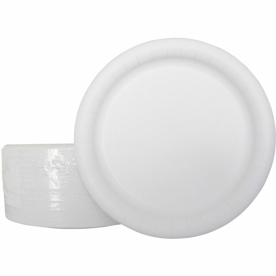 Dixie Pathways 8-1/2 Paper Plates, Mediumweight, 500 Plates (DXEUX9WS)