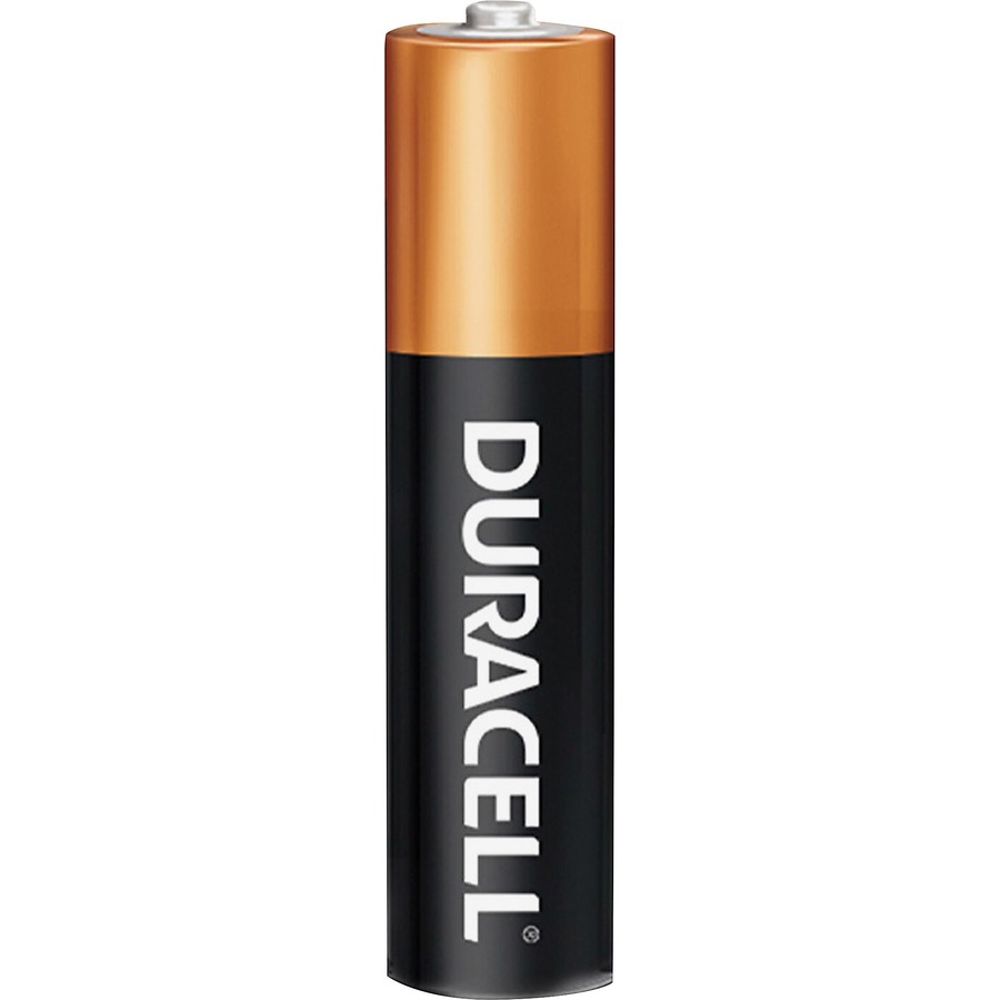 Piles alcalines Coppertop - Duracell