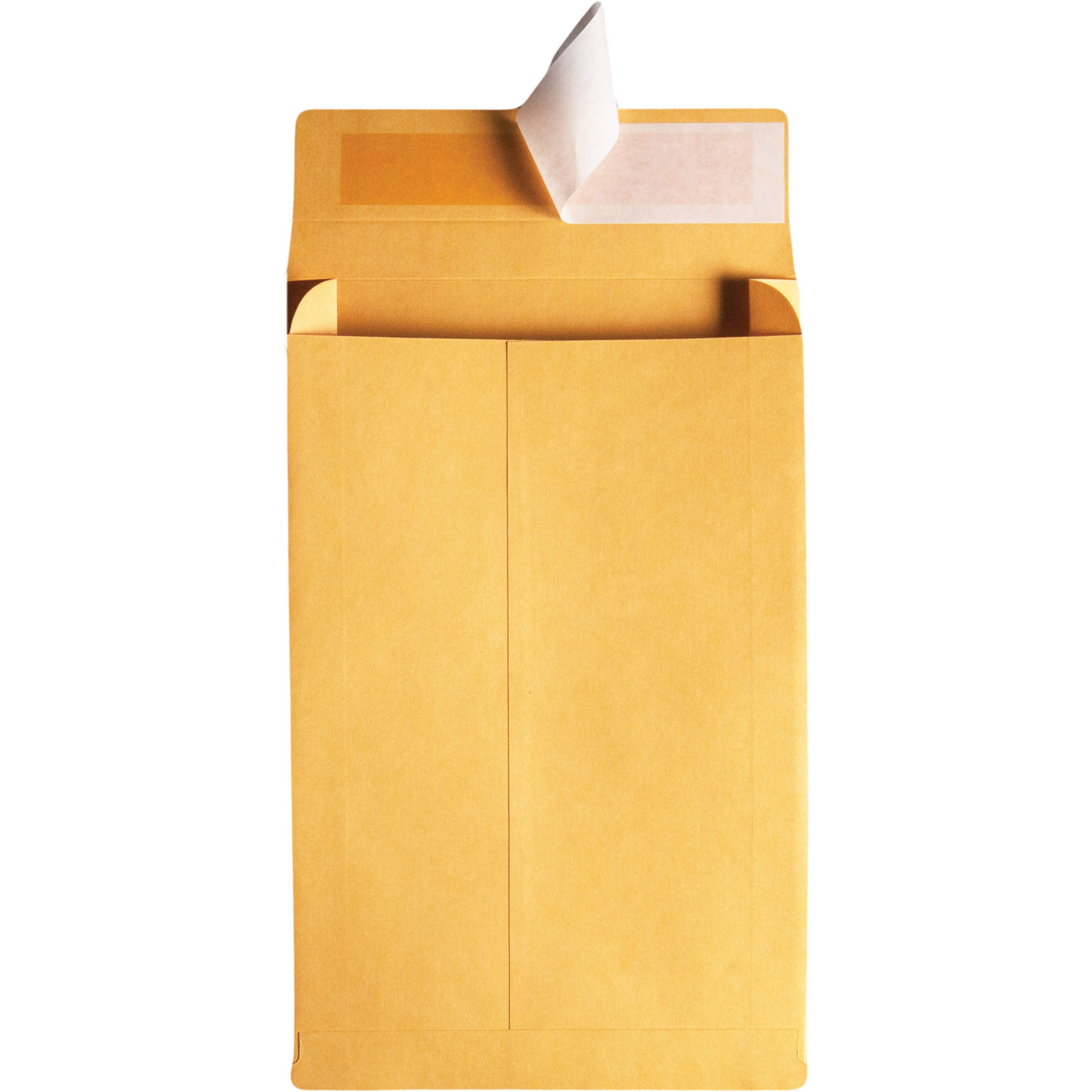 Quality Park Redi Strip Expansion Envelopes - Madill - The Office Company