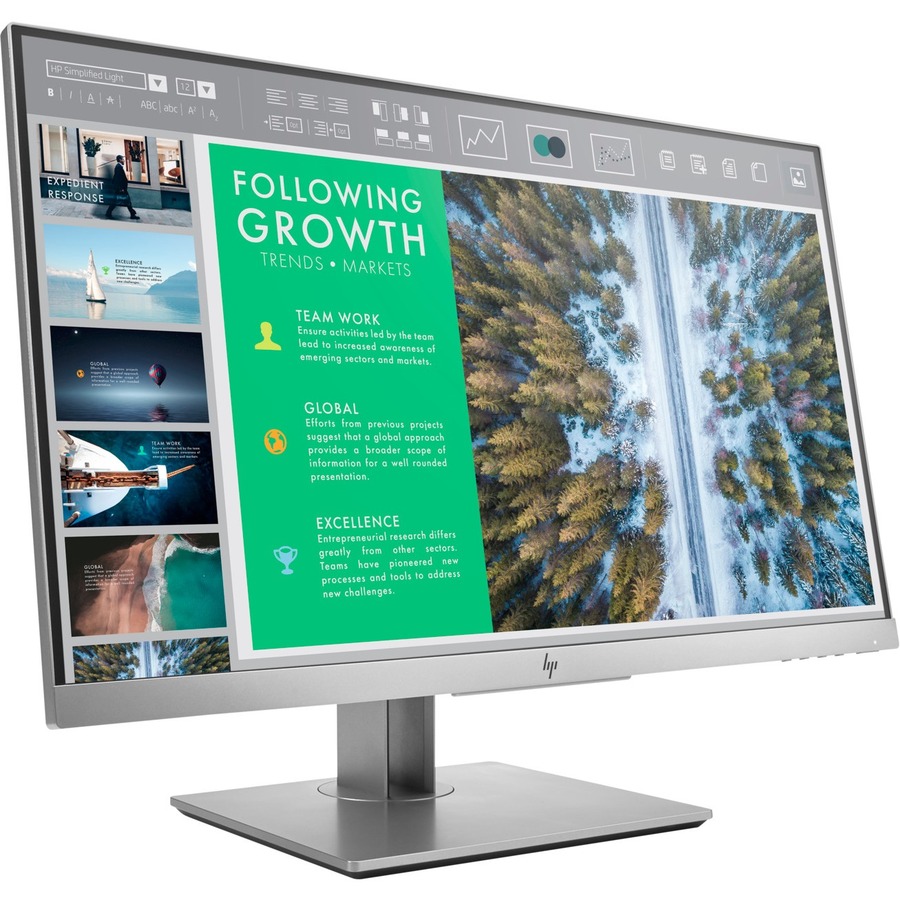 HP Business E243 Full HD LCD Monitor - 16:9