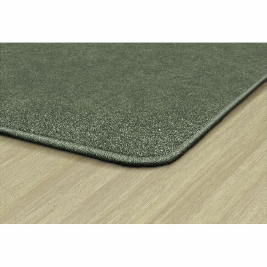 Picture of Flagship Carpets Amerisoft Solid Color Rug