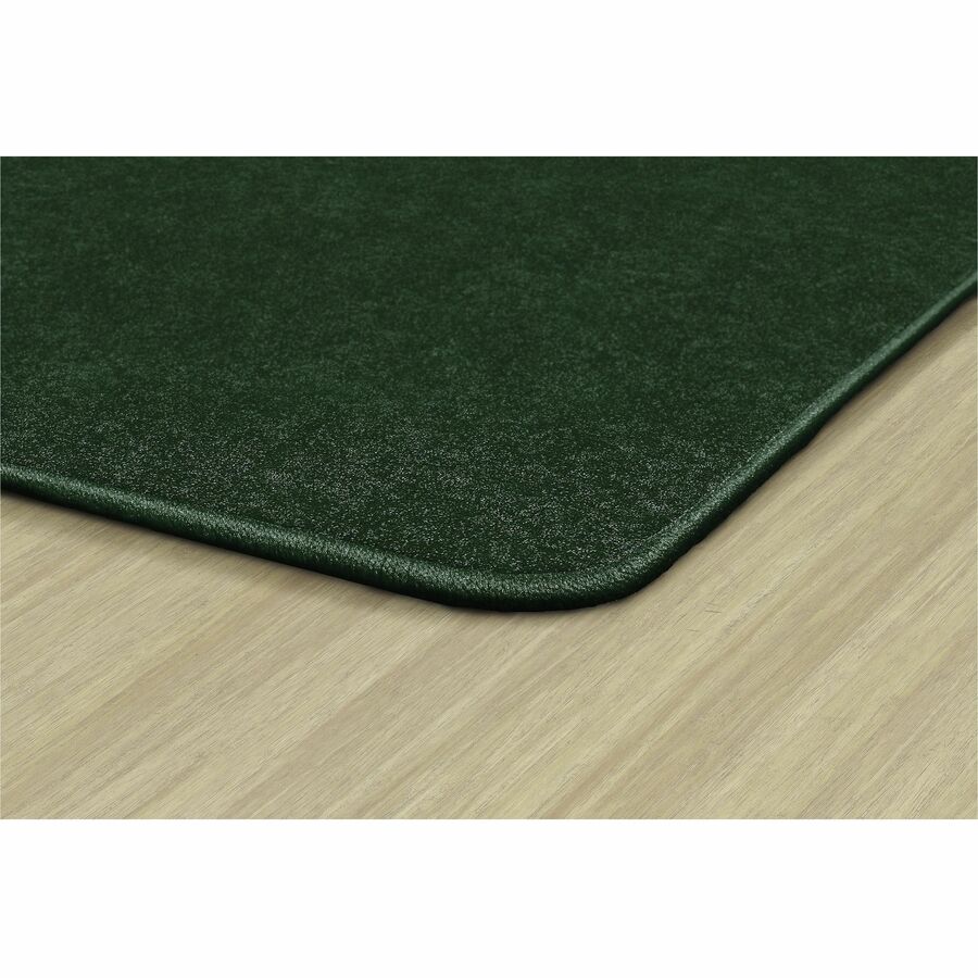 Picture of Flagship Carpets Amerisoft Solid Color Rug