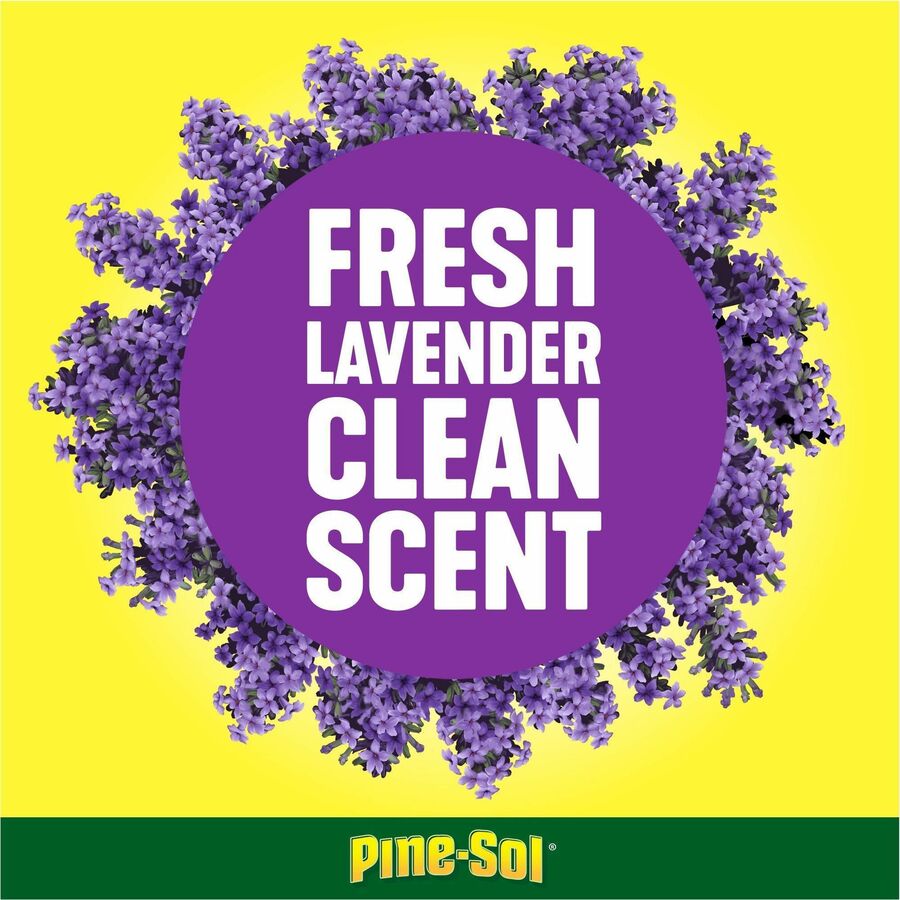 Lysol Clean/Fresh Lavender Cleaner - For Multi Surface - 144 fl oz (4.5  quart) - Clean & Fresh Lavender Orchid Scent - 4 / Carton - Purple