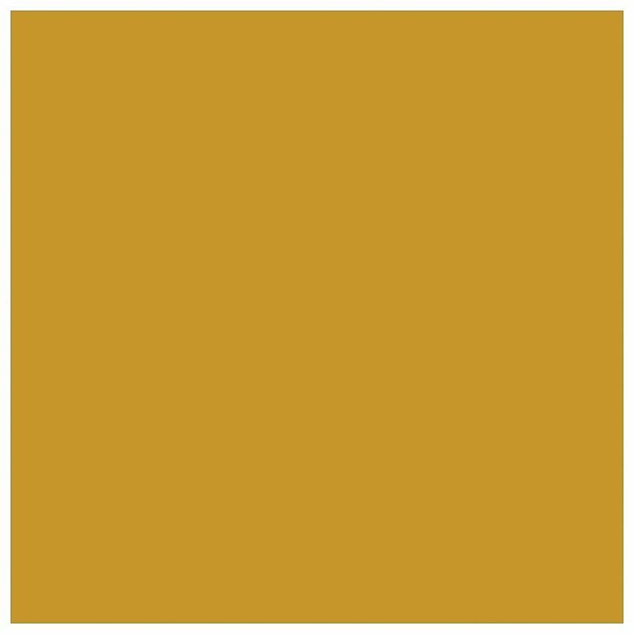 Picture of Astrobrights Colored Cardstock - Gold