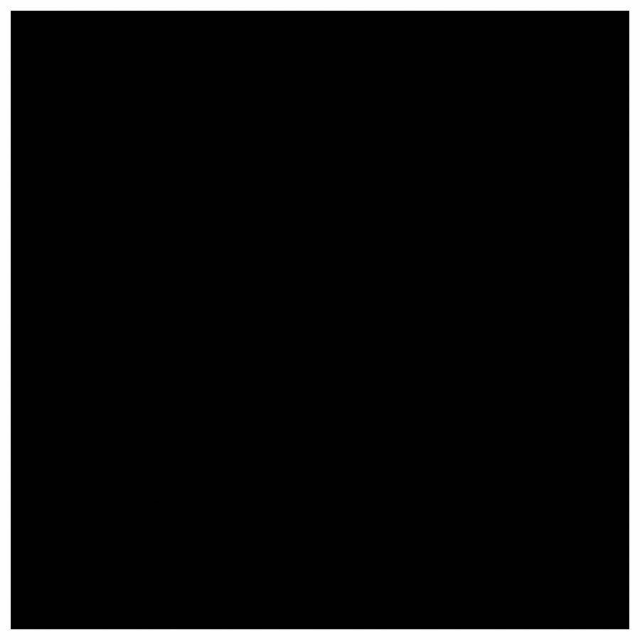 Picture of T-REX Duct Tape