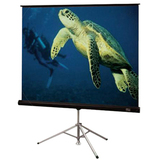 Draper Diplomat/R 215001 Portable Projection Screen - 50" x 50" - Matte White - 71" Diagonal