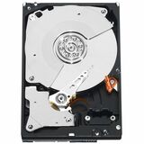 WD Caviar Black WD5001AALS 500 GB Hard Drive - 3.5" Internal - SATA (SATA/300)