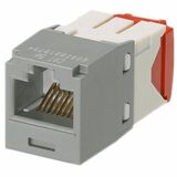 PANDUIT Mini-Com TX-5e Modular Insert