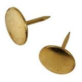 Acme United Thumb Tack Pushpin - 0.38" (9.53 mm) Diameter - 100 / Box - Brass - Metal