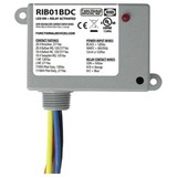 Functional Devices RIB01BDC Relay
