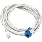 Altinex Cat-6 RJ-45 F/M Snap-In Assembly Blue