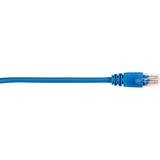 Black Box Connect Cat.5e UTP Patch Network Cable
