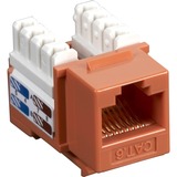 Black Box CAT6 Value Line Keystone Jack, Orange - 1 x RJ-45 Network Female - Orange