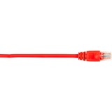 Black Box CAT5e Value Line Patch Cable, Stranded, Red, 3-ft. (0.9-m), 25-Pack