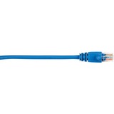 Black Box CAT5e Value Line Patch Cable, Stranded, Blue, 3-ft. (0.9-m)