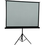 Inland 100" Projection Screen