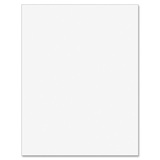 Ace Label Systems 8 1/2 x 11 Blank Eco-friendly Label Sheet